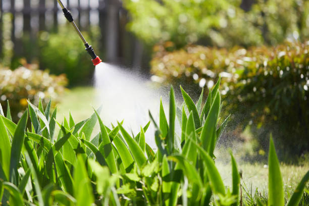 24/7 Emergency Mosquito Control experts in Riverbend, WA